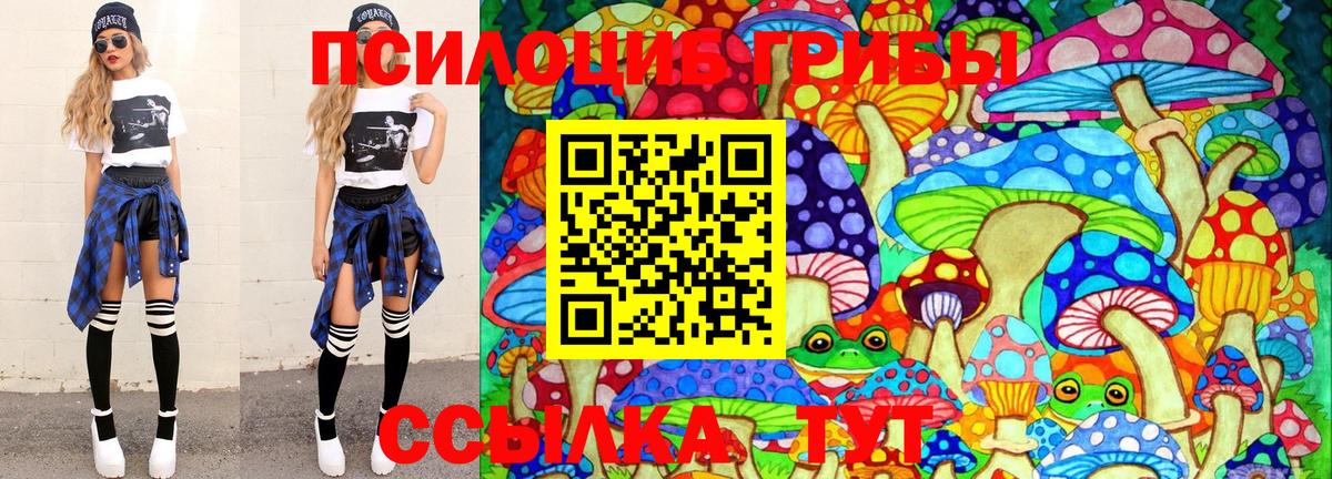 Сокол  Псилоцибиновые грибы мицелий  Псилоцибиновые грибы GOLDEN TEACHER  Вход с VPN 